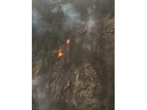 Artvin'de çıkan yangında 4 hektar orman zarar gördü