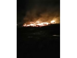 Bolu'da iki yayla evi, iki ahır ve samanlık yandı