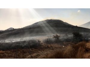 Bitlis'te yaklaşık 100 hektarlık alana yayılan anız yangını söndürüldü