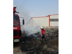 Tarsus'ta otluk alanda çıkan yangın söndürüldü