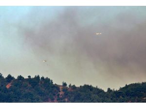 Hatay'daki orman yangınına havadan müdahale tekrar başladı