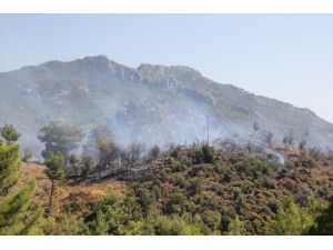 Antalya'da çıkan orman yangınında 5 hektar alan zarar gördü