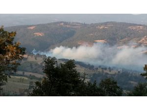 Kütahya'da orman yangınında 3 hektar alan zarar gördü