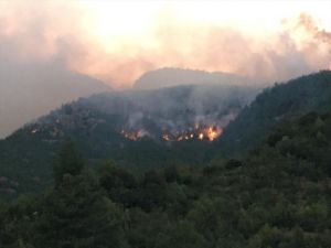 GÜNCELLEME 5 - Adana'da orman yangını