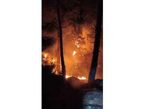 GÜNCELLEME - Aydın'da ormanlık alanda çıkan yangın kontrol altına alındı