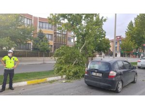 Erzincan'da fırtına çatıları uçurdu, ağaç dalları araçların üzerine düştü