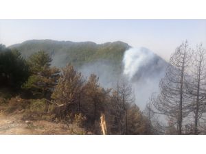 GÜNCELLEME - Hatay'daki orman yangını büyük ölçüde kontrol altına alındı