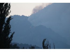 GÜNCELLEME 2 - Adana'daki orman yangınına havadan müdahaleye ara verildi