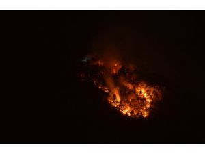 Karabük'te orman yangını