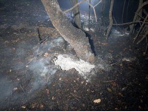 Karabük'te çıkan orman yangını söndürüldü