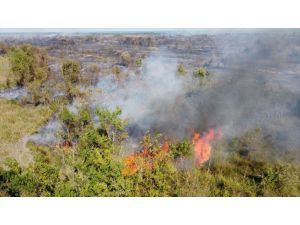 GÜNCELLEME 2- Kızılırmak Deltası Kuş Cenneti'nde yangın