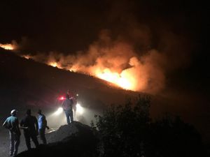 GÜNCELLEME - Elazığ'da çıkan orman yangınına müdahale sürüyor