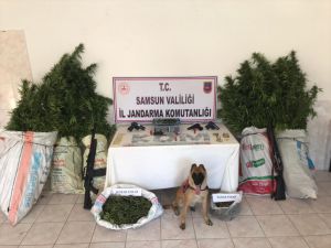Samsun'da narkotik köpeği "Ozon" ile düzenlenen operasyonda bir zanlı yakalandı