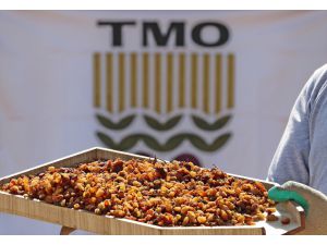 TMO 10 günde 10 bin ton kuru üzüm aldı