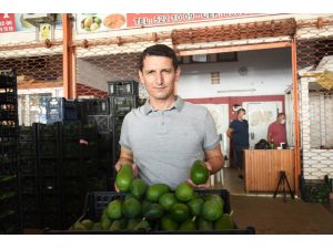Antalya'dan Bulgaristan'a avokado ihracatı