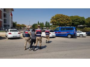 Gaziantep'te fıstık hırsızlığı şüphelisi tutuklandı
