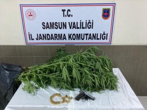 Samsun'da jandarmanın uyuşturucu operasyonunda 15 şüpheli yakalandı