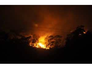 GÜNCELLEME - Antalya'da çıkan orman yangınına müdahale ediliyor