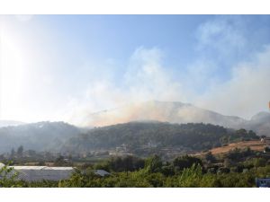 GÜNCELLEME - Antalya'da çıkan orman yangını kontrol altına alındı