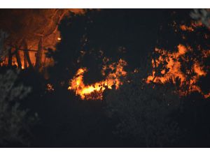 Balıkesir’deki orman yangınına müdahale sürüyor