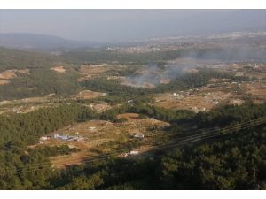 GÜNCELLEME - İzmir'de ormanlık alanda çıkan yangın söndürüldü