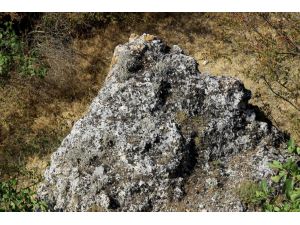Edirne'de Traklara ait tarihi kaya sunağında"güneş diski" bulundu