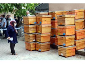 Arı Yetiştiricileri Birliği seçimlerinde oyları arı kovanına attılar