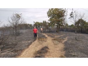 GÜNCELLEME - Kocaeli'de çıkan orman yangını kontrol altına alındı