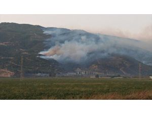 Aydın'ın Çine ilçesinde orman yangını çıktı