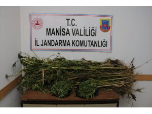 Manisa'daki uyuşturucu operasyonunda 2 kişi tutuklandı