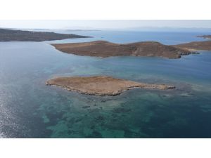 Taşlı Ada'nın "kesin korunacak hassas alan" ilan edilmesi