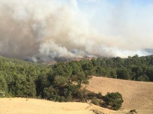 Manisa'nın Gördes ilçesinde orman yangını çıktı