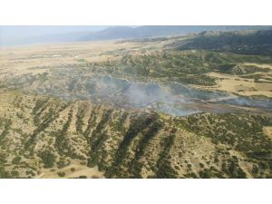 Denizli'de çıkan yangında 1 hektar ormanlık alan zarar gördü