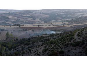 Tokat'ta çıkan orman yangınında 3 hektar alan zarar gördü