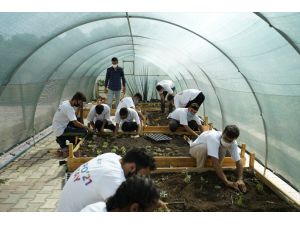 Hatay'da "Medeniyetler Bahçesi" temalı EXPO 2021 için bitki yetiştirilmeye başlandı