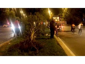 Kartal'da trafik kazası: 1 yaralı