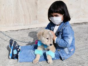 Trabzon'da düzenlenen defilede köpekler podyuma çıktı