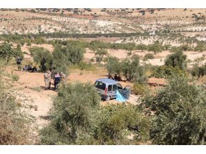 Gaziantep'te kontroldan çıkan araç zeytinliğe girdi: 1 ölü