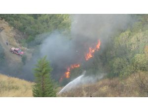 GÜNCELLEME - Bursa'daki orman yangını kontrol altına alındı