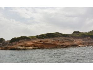 Didim'de deniz altında 5 bin yıllık olduğu değerlendirilen liman kalıntıları bulundu