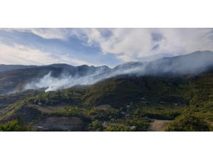 Trabzon'da ormanlık alana sıçrayan yangına müdahale ediliyor