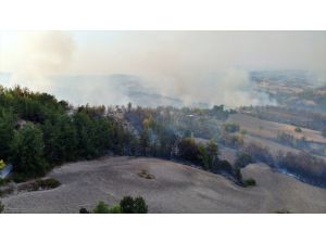 GÜNCELLEME 2 - Osmaniye'de çıkan orman yangınına müdahale ediliyor