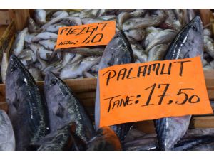 Balıkçılar denize açılamayınca balık fiyatları arttı