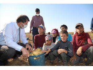 Sivas Valisi Ayhan'dan tarlada çalışan çocuklara eğitim müjdesi