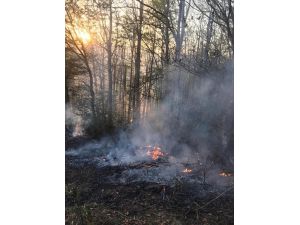 Ordu'da orman yangınına müdahale eden kişi yaşamını yitirdi