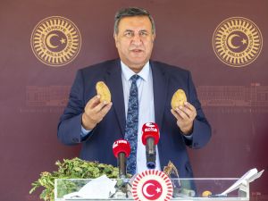 CHP'li Gürer: "Patatesle ilgili doğru politikalar oluşturulsun"