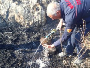 Malatya'da yangından etkilenen kirpiyi itfaiyeciler kurtardı