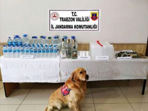 Trabzon'da 115 litre sahte rakı ele geçirildi