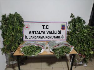 Antalya jandarmasından 10 ayda 595 uyuşturucu ve sahte içki operasyonu