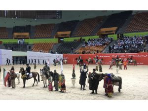 İran Atları Festivali